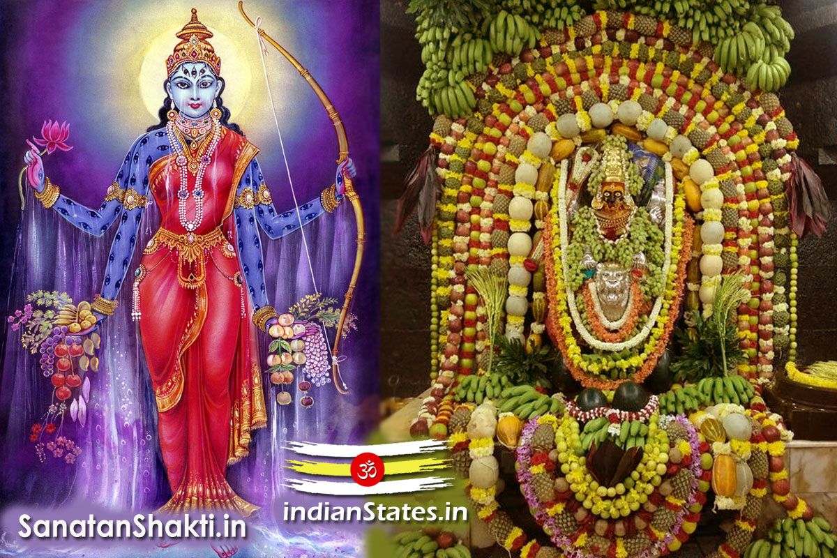 शाकंभरी जयंती शाकंभरी पूर्णिमा शाकंभरी नवरात्रि Shakambhari Jayanti Shakambhari Purnima Shakambhari Navratri