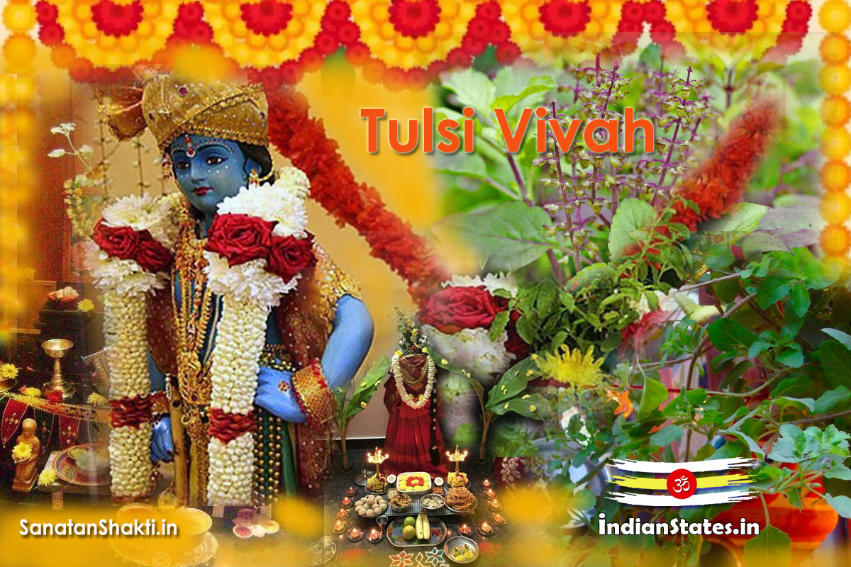 Tulsi Vivah Paddhati