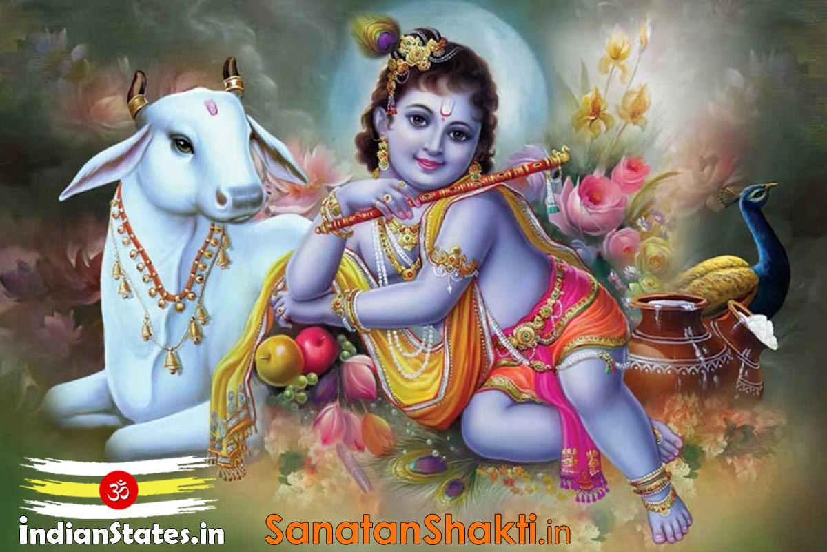 child image of krishna with cow